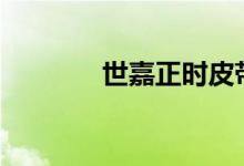  世嘉正时皮带多少公里更换? 