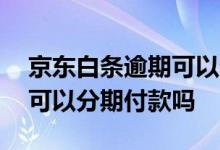 京东白条逾期可以分期还款吗 京东白条逾期可以分期付款吗