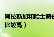 阿拉斯加和哈士奇的区别（雪橇犬哪一种价格比较高）