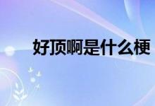  好顶啊是什么梗 网络语顶是什么意思 