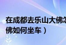 在成都去乐山大佛怎么坐车（从成都到乐山大佛如何坐车）