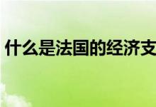 什么是法国的经济支柱（什么是法国香水花）