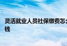 灵活就业人员社保缴费怎么交 为什么灵活就业人员医保不返钱 