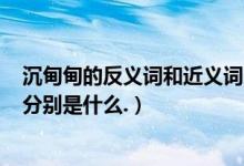 沉甸甸的反义词和近义词（富裕,特别,晃荡,沉甸甸的反义词分别是什么.）