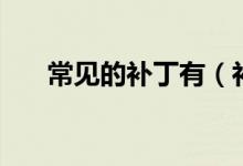 常见的补丁有（补丁程序是什么程序）