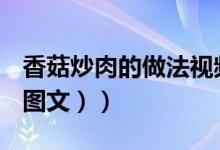 香菇炒肉的做法视频教程（香菇炒肉的做法（图文））