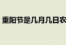 重阳节是几月几日农历（重阳节是几月几日）