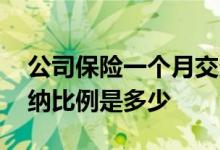 公司保险一个月交多少钱一个月 公司保险缴纳比例是多少 