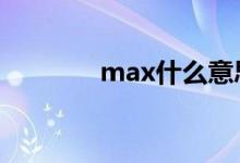 max什么意思在防冻液壶上 