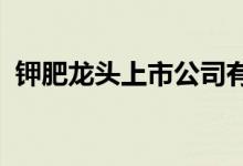 钾肥龙头上市公司有哪些（（2022年版））