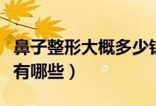 鼻子整形大概多少钱（鼻头整形后的注意事项有哪些）