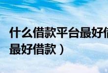 什么借款平台最好借款利息低（什么借款平台最好借款）