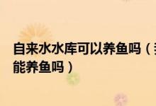 自来水水库可以养鱼吗（我想在水库养鱼但是没有流动水源能养鱼吗）