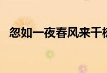 忽如一夜春风来千树万树梨花开（的赏析）