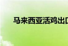 马来西亚活鸡出口禁令将于8月底结束