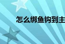 怎么绑鱼钩到主线上（怎么绑鱼钩）