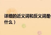 详细的近义词和反义词是什么呢（详细的近义词和反义词是什么）