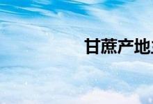  甘蔗产地主要在哪个省 