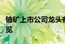 铀矿上市公司龙头有哪些铀矿上市公司概念一览
