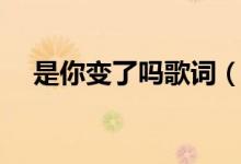 是你变了吗歌词（是你变了吗歌词全文）
