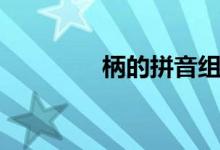 柄的拼音组词（柄的拼音）