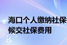 海口个人缴纳社保每月几号交 每个月什么时候交社保费用 