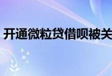 开通微粒贷借呗被关（开通微粒贷借钱技巧）