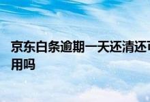 京东白条逾期一天还清还可以用吗 京东白条逾期还清后还能用吗