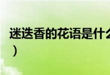 迷迭香的花语是什么（迷迭香的花语是什么呢）