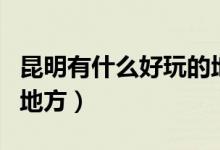 昆明有什么好玩的地方吗（昆明有什么好玩的地方）