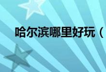 哈尔滨哪里好玩（哈尔滨旅游必去景点）