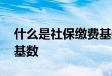 什么是社保缴费基数是多少 什么是社保缴费基数