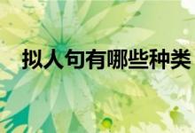 拟人句有哪些种类（拟人句有哪些好处?）
