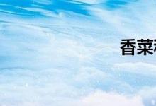  香菜种植方法 