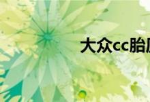 大众cc胎压复位键在哪 