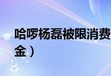 哈啰杨磊被限消费（因拒不退还10万元保证金）