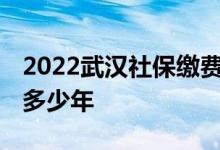 2022武汉社保缴费基数档次 怎么查社保交了多少年 