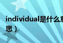 individual是什么意思（individual是什么意思）