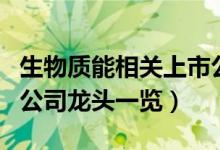 生物质能相关上市公司有哪些（生物质能上市公司龙头一览）