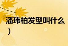 潘玮柏发型叫什么（潘玮柏的头型是什么头型）