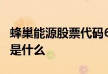 蜂巢能源股票代码601633 蜂巢能源股票代码是什么 