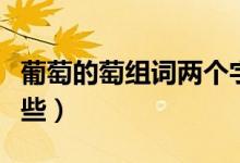 葡萄的萄组词两个字的词（葡萄的萄组词有哪些）