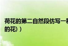 荷花的第二自然段仿写一种花（仿写荷花第二自然段(不一样的花)）