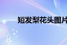  短发梨花头图片 增添女性迷人魅力 