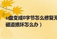 u盘变成0字节怎么修复无法格式化（U盘无法格式化显示0磁道损坏怎么办）