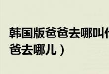 韩国版爸爸去哪叫什么（这个是不是韩版的爸爸去哪儿）