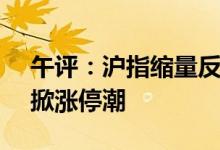 午评：沪指缩量反弹涨0.15%特高压概念股掀涨停潮