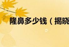 隆鼻多少钱（揭晓垫高鼻子大概多少钱）