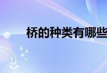 桥的种类有哪些（桥的种类有哪些）