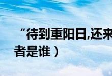 “待到重阳日,还来就菊花”是什么意思（作者是谁）